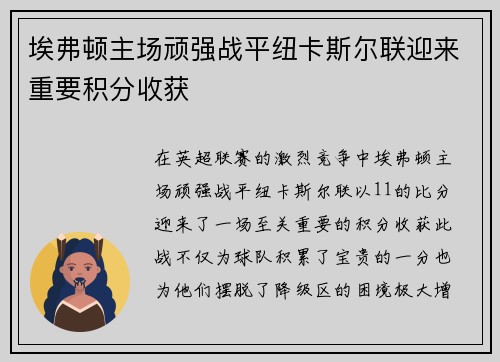 埃弗顿主场顽强战平纽卡斯尔联迎来重要积分收获